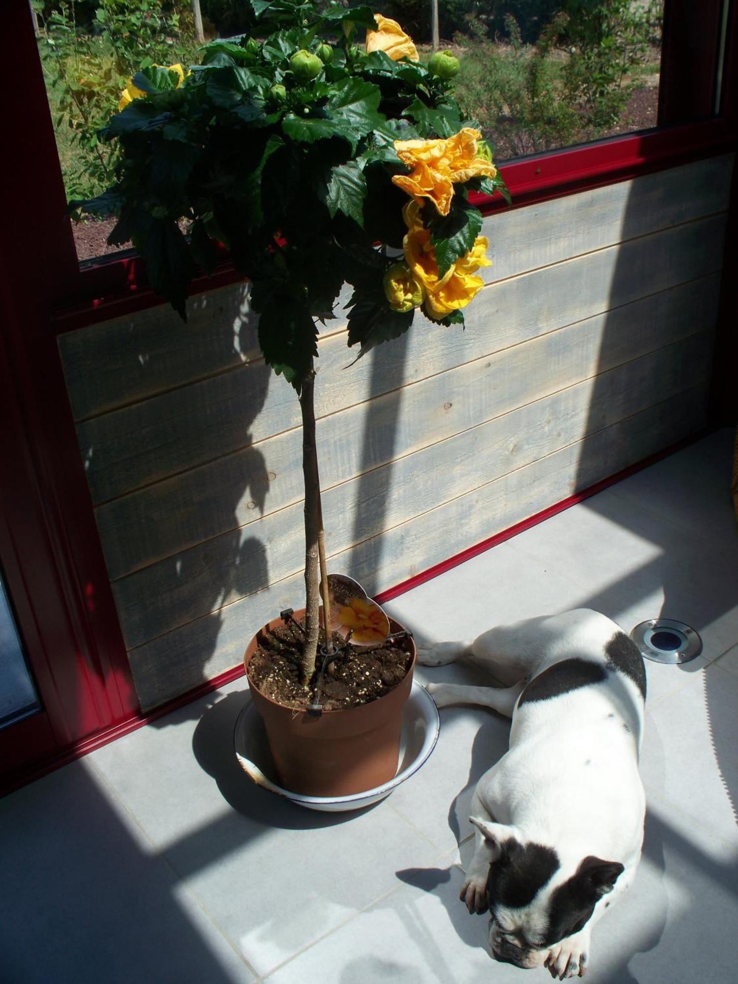 Le Pre Karvain Bed and Breakfast Couddes Buitenkant foto