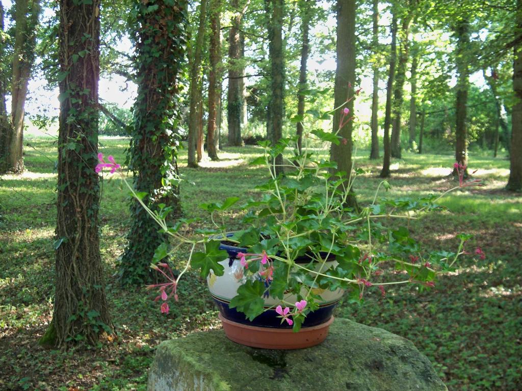 Le Pre Karvain Bed and Breakfast Couddes Buitenkant foto