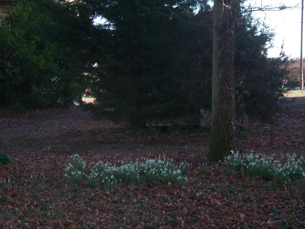 Le Pre Karvain Bed and Breakfast Couddes Buitenkant foto